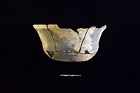 藏品(陶盆)的圖片